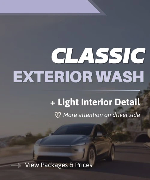 Classic Exterior Wash & Light Interior Detail
