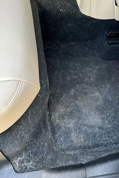 Pet Hair Removal Service in Santa Clara County by Nor Bay Mobile Detailing