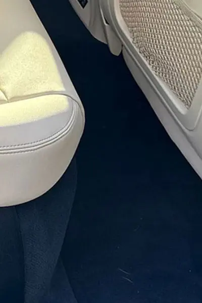 Pet Hair Removal After Results