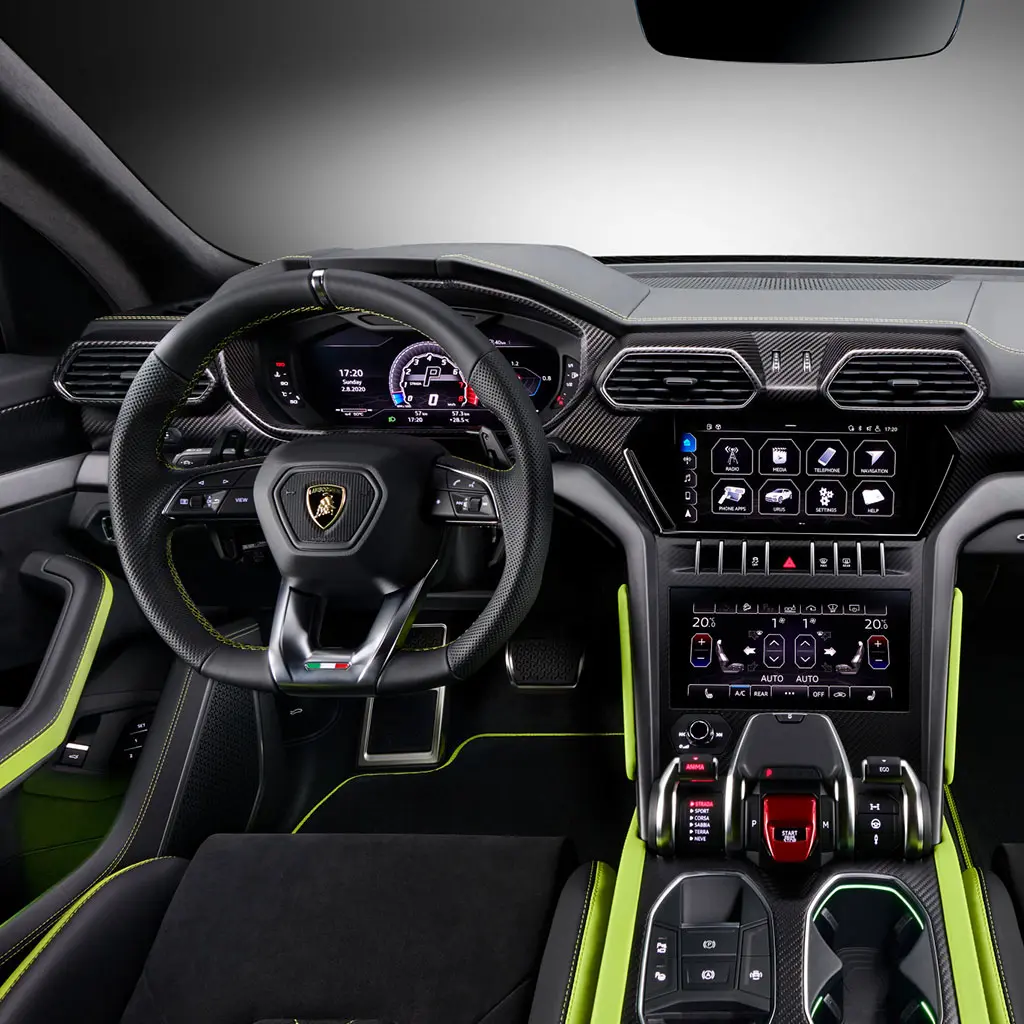 Mold Treatment & Headliner Cleaning Service