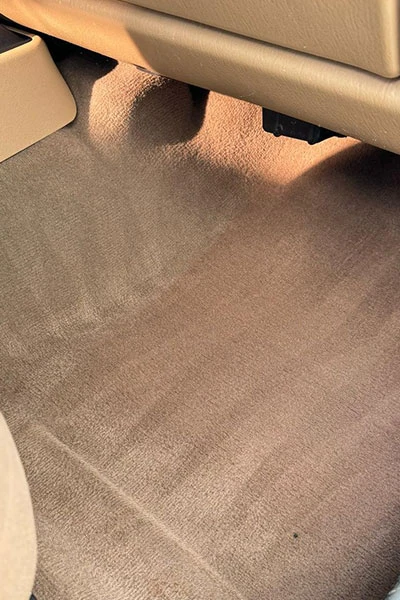 car carpet mold removal after service