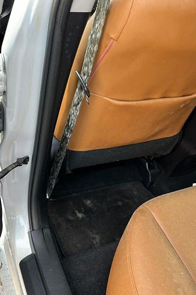 car carpet mold treatment before 2 san jose ca