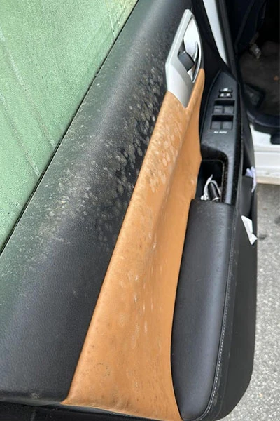 car door mold elimination and interior detailing before