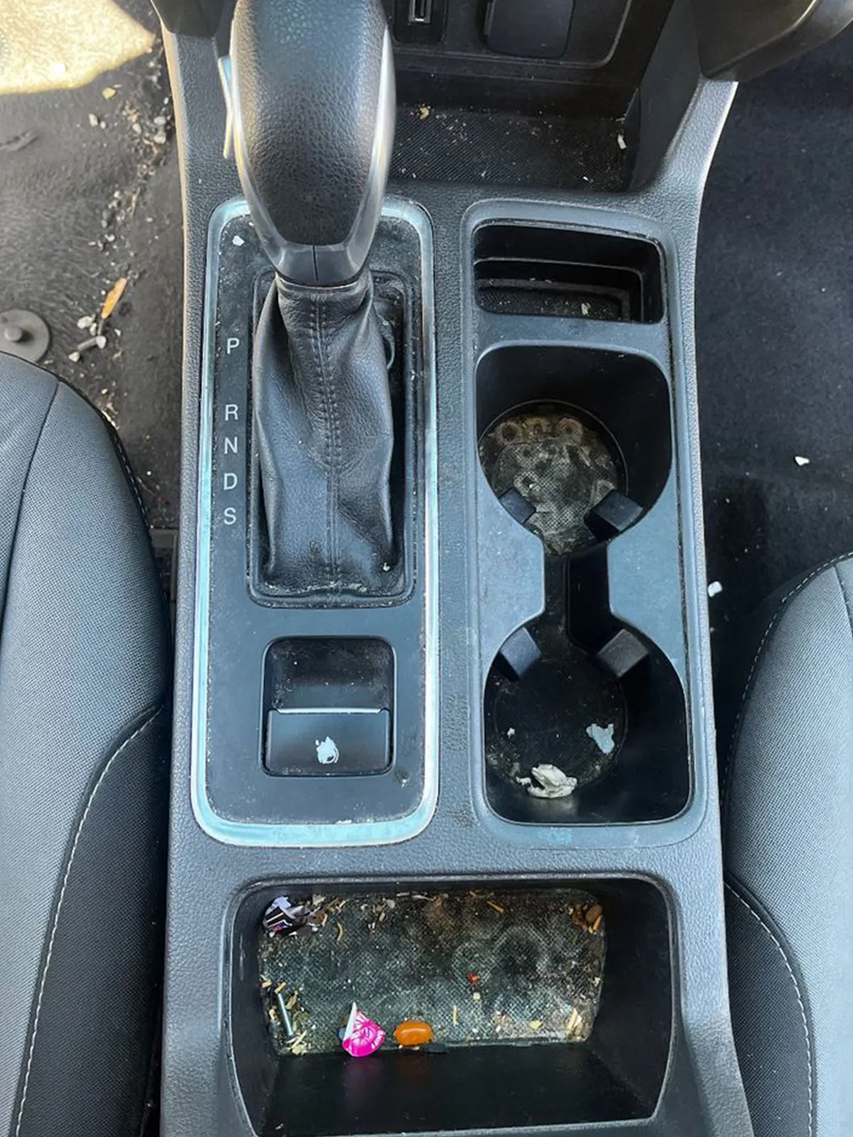 Gear box before hair removal