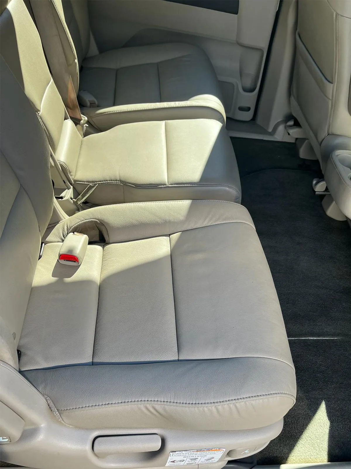 Back side Carpet Pet hair and mud after service