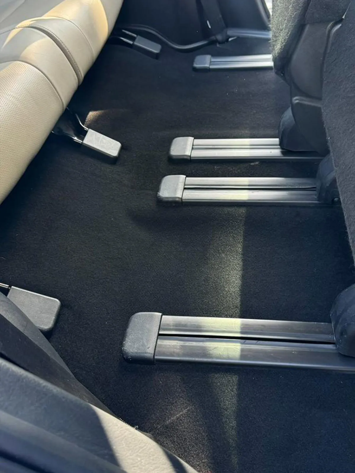 Carpet Pet hair and mud after service