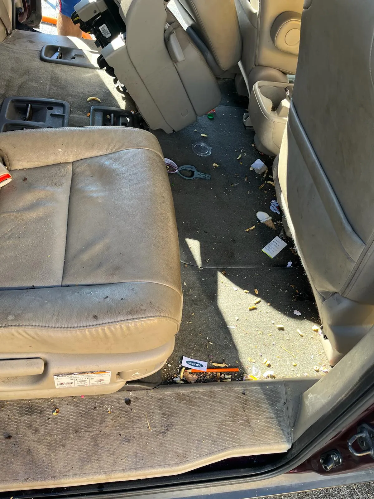 Back side Carpet Pet hair and mud before service