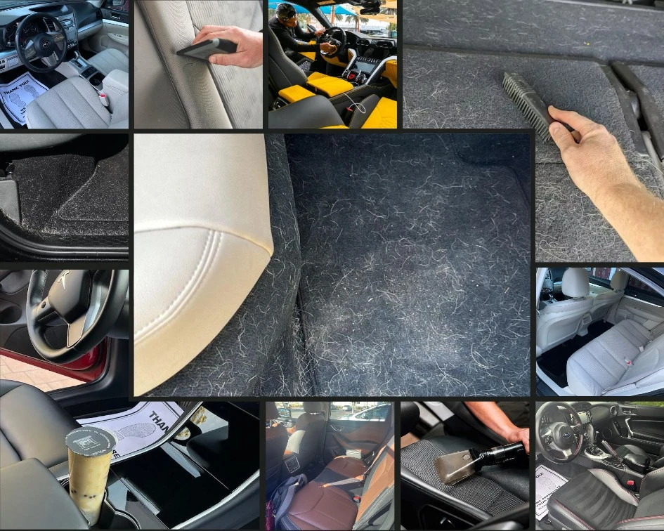 Pet hair Removal service before and after snapshots