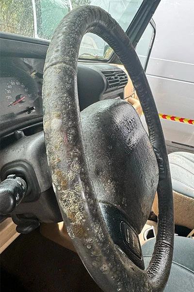 steering wheel mold infestation before treatment - San Jose, CA