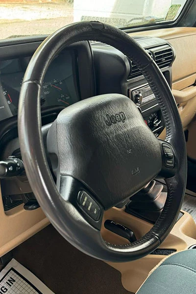 steering wheel mold infestation removal after treatment - San Jose, CA